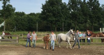 Selectiedag Susteren Manege Katsbek