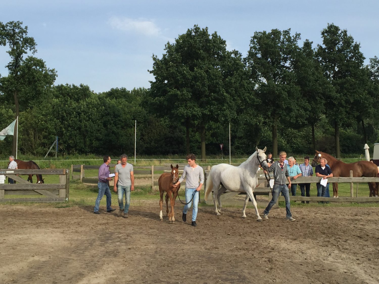 Selectiedag Susteren Manege Katsbek